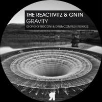 Artwork for Gravity by The Reactivitz