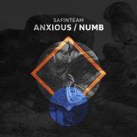 Artwork for Anxious \ Numb by Safinteam