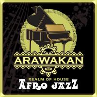 Artwork for Afro Jazz by Realm of House