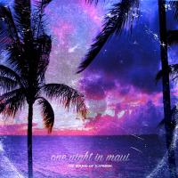 Artwork for One Night In Maui by DJ.Fresh