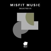 Artwork for Misfit Music: Selected 01 by Various Artists