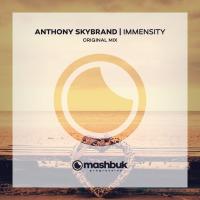 Artwork for Immensity by Anthony Skybrand