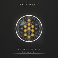 Artwork for Bach Series 05 by Various Artists
