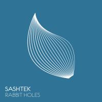 Artwork for Rabbit Holes by Sashtek