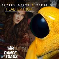 Artwork for Head Up High by Slippy Beats