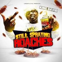 Artwork for STILL Spraying Roaches by King David