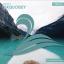 Artwork for Turquoisey (Original Mix)