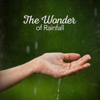 Artwork for The Wonder of Rainfall by Rain Sounds