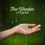 Artwork for Cloud Ruptures 