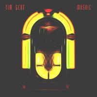 Artwork for Mosaic by Tim Gent
