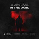 Artwork for In The Dark