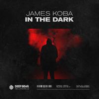 Artwork for In The Dark by James Koba