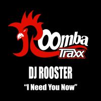 Artwork for I Need You Now by DJ Rooster