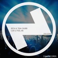 Artwork for Can U Feel Me by Reza