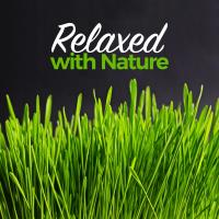 Artwork for Relaxed with Nature by Sounds of Nature Relaxation