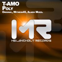 Artwork for Poly by T-Amo