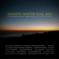 Artwork for Smooth Winter Soul 2014 - Tgee Records Nu Soul, Smooth Jazz & Slow Jams Collection by Various Artists