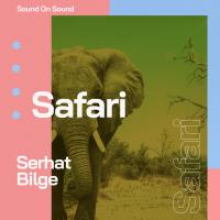 Artwork for Safari by Serhat Bilge