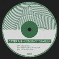 Artwork for Constant State by Cateran