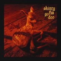 Artwork for Skinty Fia go deo by Fontaines D.C.