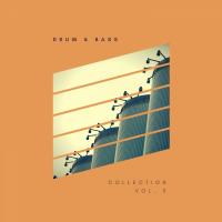 Artwork for SLIVER Recordings: Drum & Bass Collection, Vol. 5 by Various Artists