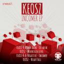 Artwork for Incomer (Original Mix)