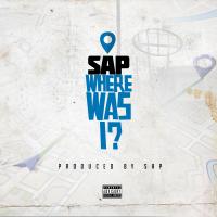 Artwork for Where Was I? by SAP