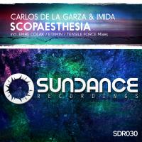 Artwork for Scopaesthesia by Carlos De La Garza