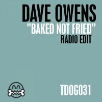 Artwork for Baked Not Fried by Dave Owens