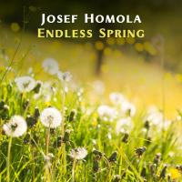 Artwork for Endless Spring by Josef Homola