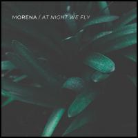 Artwork for At Night We Fly by Morena