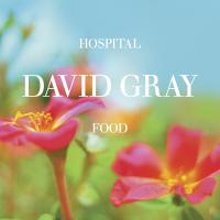 Artwork for Hospital Food, Pt. 1 by David Gray