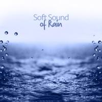 Artwork for Soft Sound of Rain by Rain Sounds