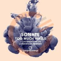 Artwork for Too Much Walls by Sonate