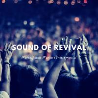 Artwork for Sound Of Revival by Kyle Lovett