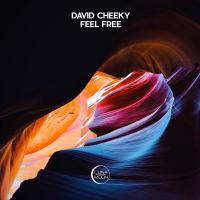 Artwork for Feel Free by David Cheeky