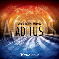 Artwork for Aditus by Vadim Bonkrashkov