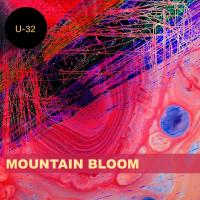 Artwork for U32 by Mountain Bloom