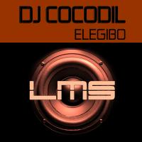 Artwork for Elegibo (Afro Mix) by DJ Cocodil