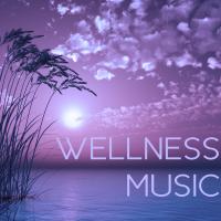 Artwork for Wellness Music by Massage Tribe