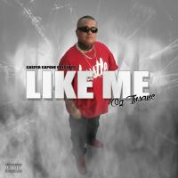 Artwork for Like Me by OG Insane