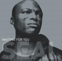 Artwork for Waiting for You by Seal