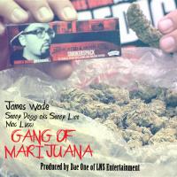 Artwork for Gang Of Marijuana (feat. Mac Lucci) by James Wade