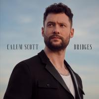 Artwork for Bridges by Calum Scott