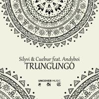 Artwork for Trungungo by Silyvi