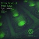 Artwork for Symbadisch (Gene Karz Remix)