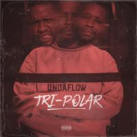 Artwork for Tri -Polar by Undaflow