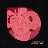 Artwork for Firewall by Joseph Gaex