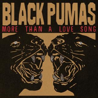 Artwork for More Than A Love Song