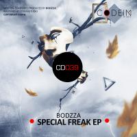 Artwork for Special Freak EP by Bodzza